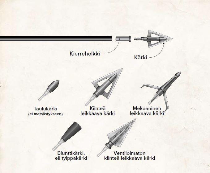 Nuolen kärkityyppejä 7.8.