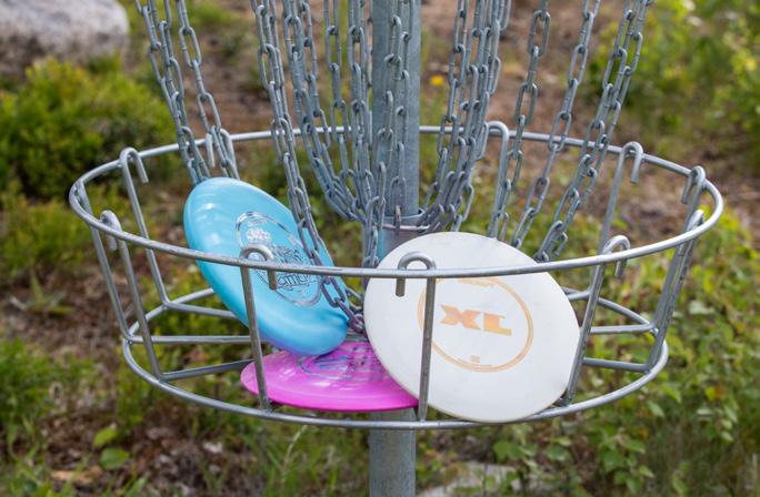 Frisbeegolfia Frisbeegolfradat sijaitsevat Sepänkylän koulualueella, Österhankmon uimarannan vieressä ja Sulvan kuntoradalla. Sepänkylän frisbeegolfrata Osoite: Matildantie 2, 65610 Mustasaari.