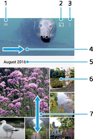 Albumin valokuvat ja videot Valokuvien ja videoiden katselu Voit katsella kameralla otettuja tai laitteeseen tallennettuja valokuvia ja videoita Albumi-sovelluksessa.