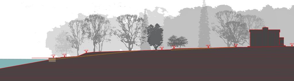 HISTORIA JA PUISTON NYKYTILA Topografian muotoutuminen