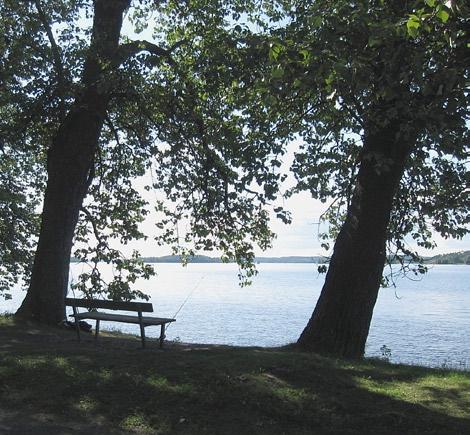 Vapaita penkkejä onkin vaikea löytää tällaisena päivänä. Perheiden suosimia paikkoja ovat suojaisat uimapaikat puiston eteläosassa ja tietysti arboretum.