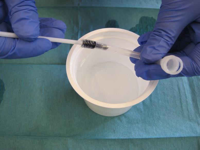 15 minuuttia keittosuolaliuoksessa tai juoksevan veden alla ja pestään mekaanisesti puhdistusharjalla.