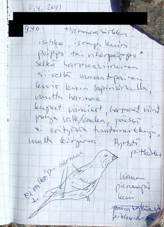 Alla on sitten Jurmossa tehdyt muistiinpanot purettuna (paksunnettuna). Mustatut kohdat eivät kuulu tähän havaintoon.