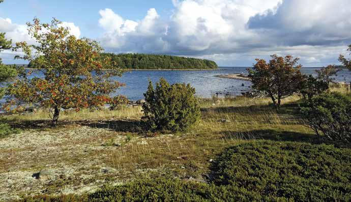 Preiviikinlahden yksityiset luonnonsuojelualueet Suuri osa Preiviikinlahden saarista on yksityisiä luonnonsuojelualueita.