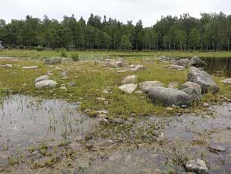 Tällä pienellä luodolla (860 m 2 ) käytiin 11.7.2016. Tuolloin se oli erillään mannerrannasta, mutta vesi oli varsin korkealla ja maakasvillisuuttakin oli veden alla.