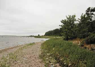 Saarella on useita mökkejä. Katavan länsipuolisko on kivikkoinen ja lohkareinen. Itärannalla on runsaasti pikkukiviä ja hiekkaa. Hietikolla viihtyvät mm. suola-arho, tahmavillakko ja poimuhierakka.