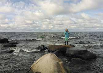 Preiviikinlahden saarista läntisin, tuulen tuivertama Truutholma (n. 7 ha) on erittäin kivinen saari, jossa ei ole juuri nummeakaan: puut ponnistavat kiven rakosista.