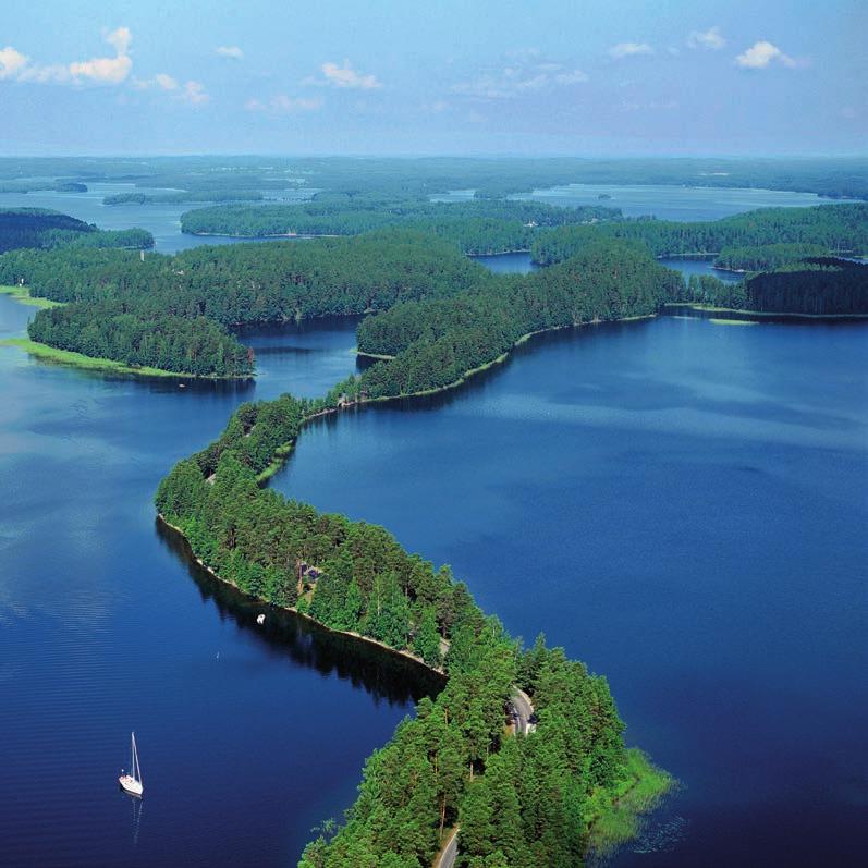 Kuva: Savonlinnan Seudun Matkailu Oy Järvikala on vahvuus