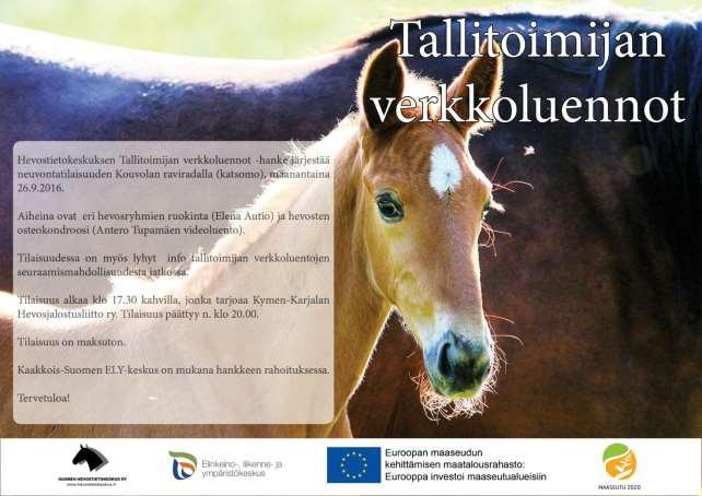 SUOMENHEVOSTAMMOJEN RAKENNETARKASTUS Vähintään 4-vuotiaalle suomenhevostammalle voidaan tehdä rakennetarkastus jalostusarvostelutilaisuuden yhteydessä.