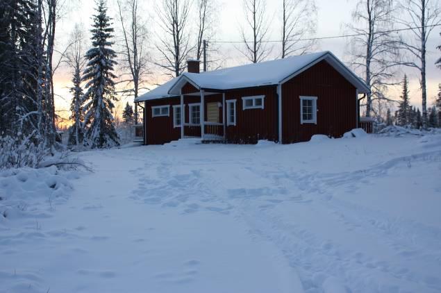 Sen yhteydessä ei ole todettu alueella olevan uhanalaisia eikä silmällä pidettäviä lajeja.