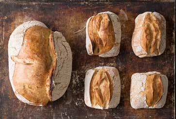 Palvelet tällä italiaistyyppisellä, juureen leivotulla ihanuudella erityisen hyvin leipäpöydässä tai leipäkorissa.
