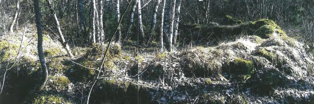 Kaavoittajalta saatu kuva Tahkoluodon Vasikkarinmäen