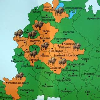 Erähiči, enne Il l anpäiviä buabo käski kerätä mua rjua piiruakse. Il l anpäivy oli suuri pruazniekku minun kyläs. Joga kerdua bua bo pastoi pruazniekkupastostu.