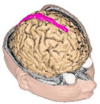 projektiokuvien käsittelyyn perustuvien CT- ja MRI-kuvien [computed tomography, magnetic resonance imaging] analysointi on ollut aktiivisen kehittämisen kohteena.