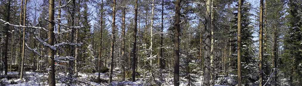 Jäsenistö pidetään ajan tasalla Kemeran muutoksissa Uusi kemera astuu jälleen voimaan 18.4.2016, jonka jälkeen edetään uusilla pelisäännöillä.