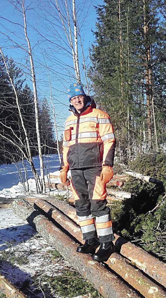 Metsäkasvomme Timo Koutaniemi: Metsässä ei raha ole hukassa Timo Koutaniemi on metsänomistaja ja metsäalan lehtori Lapin ammattiopistossa, jossa hän opettaa metsäkonekuljettajien perusopetusta,