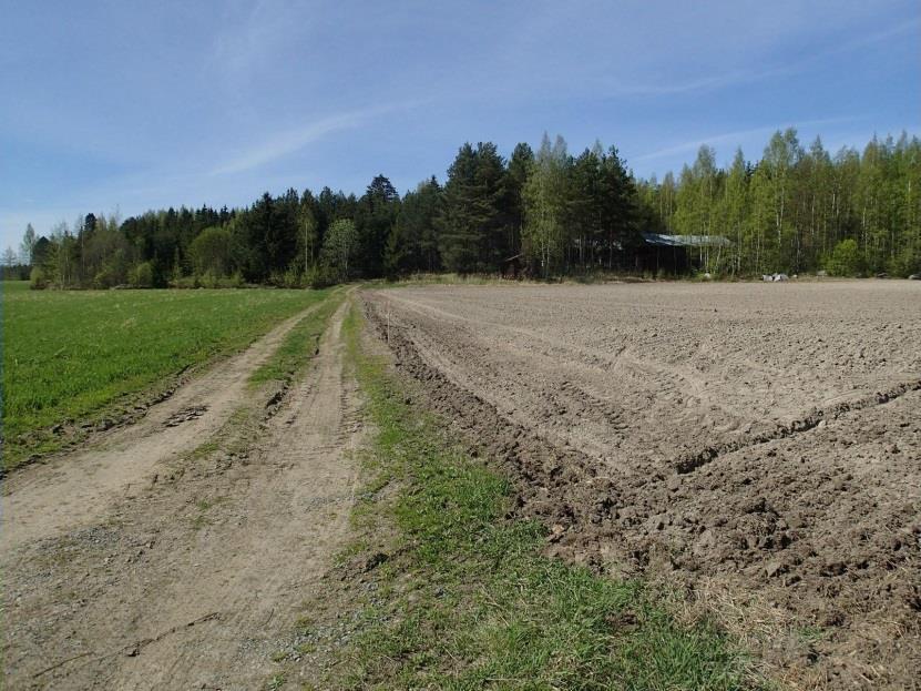 avoimessa maastossa Vihasjärvellä