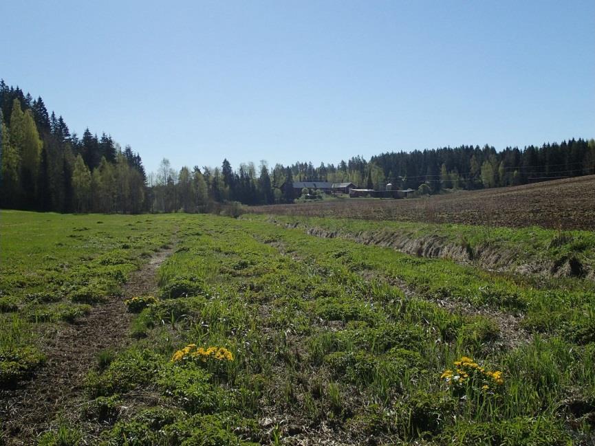 Järvenpäässä Suojoen varressa
