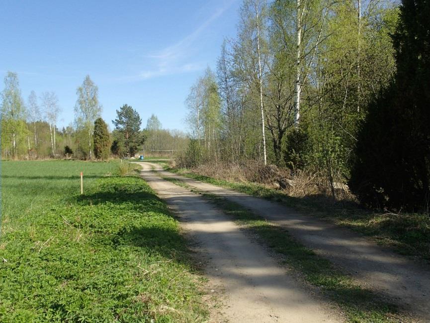 Iilivuoren lounaisrinteillä.