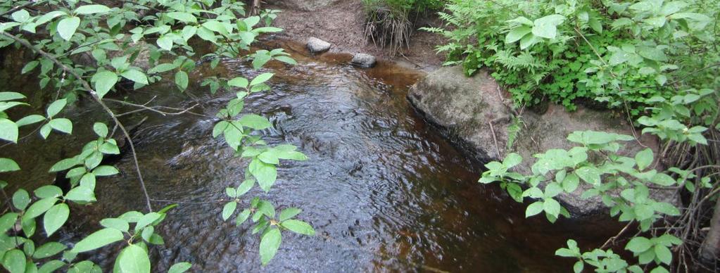 Puronvarsilehtoa on rauhoitettu vuosina 1999 (0,6 ha) ja 2005. Vain pieni osa arvokkaimmasta lehdosta on rauhoittamatta.