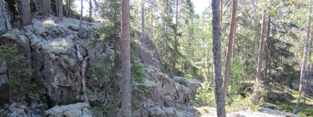 ) ja Jaskaranlammin lehtomaista kangasmetsää.