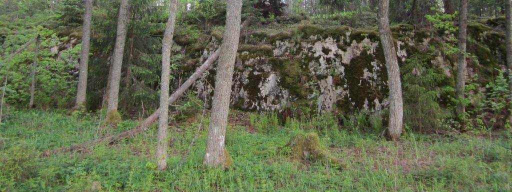 ) Kaitijärven pieni lehmusmetsikkö ja Koijärven laskupuron lehmusmetsikkö (oik.). Kaitijärven lehmusmetsikkö (0,28 ha) sijaitsee Ylöjärven Takamaalla Kaitijärven eteläpuolella Lautakaton alueella.