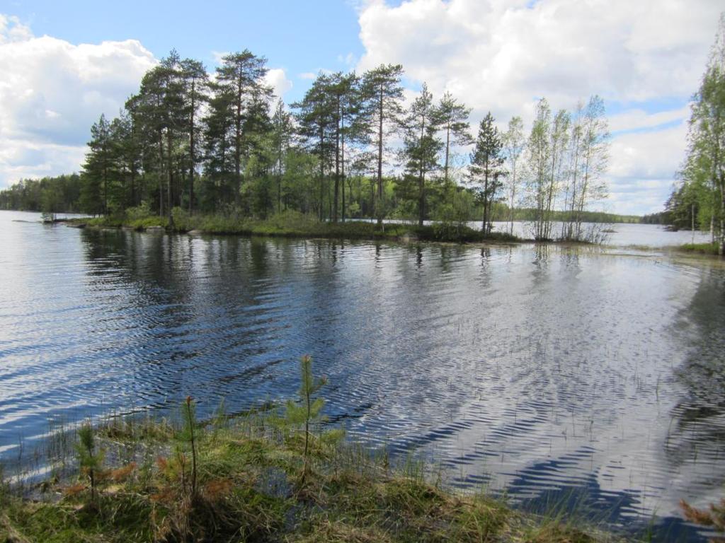 Kohteesta on tarkempi kuvaus osiossa yksityiset luonnonsuojelualueet, koska pääosa alueesta on jo rauhoitettu luonnonsuojelualueeksi.