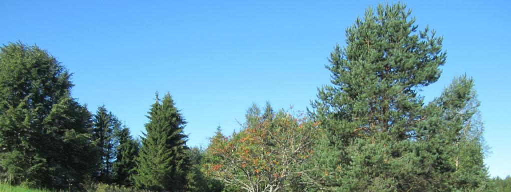 21 to/niittylajisto häviää peltolajien tieltä. Natura-alueen ulkopuolellakin on arvokasta lajistoa, mm.