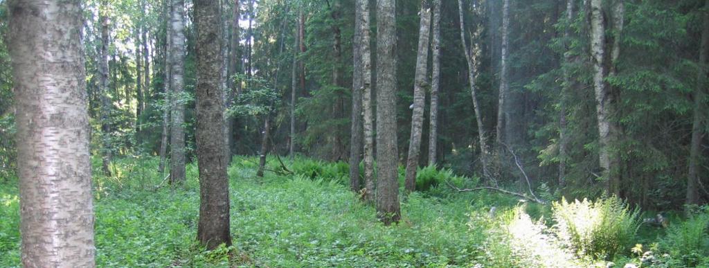 Perkonmäen alue on melko haavoittuvainen sijaintinsa puolesta.