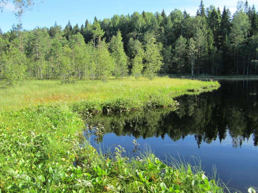 Valtio on hankkinut omistukseensa myös lähialueelta osan Tappisuosta ja jatkossa alueen luonnonarvot pääsevät kehittymään suotuisasti.