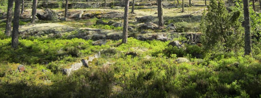Geologisista kohteista on inventoitu kallioalueita, moreenimuodostumia, pienkohteita sekä tuuli- ja rantakerrostumia.