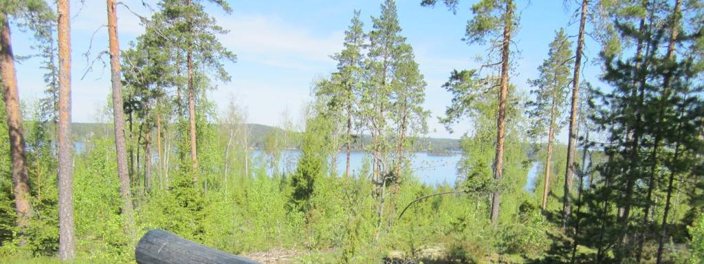 30 Kuva. Pihkaperän Isomäeltä avautuu hienoja näkymiä Näsijärvelle (vas.