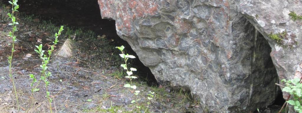 Siivikkalan rantakalliot (54 ha) Näsijärven Näsiselän rannoilla ovat maisemallisesti komeat ja