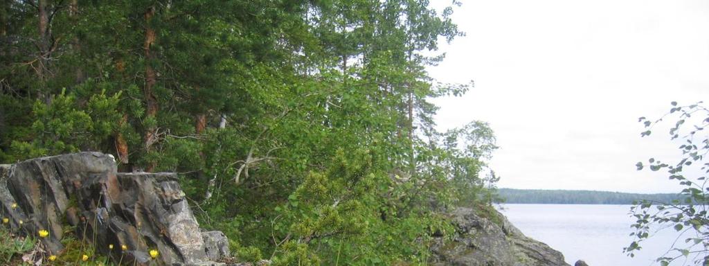 Ne edustavat maailman vanhimpia elämän merkkejä. Silokalliot ovat kivilajiltaan fyllittiä.