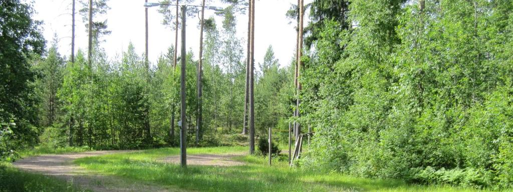 Ansomäen kuntopolkuja.