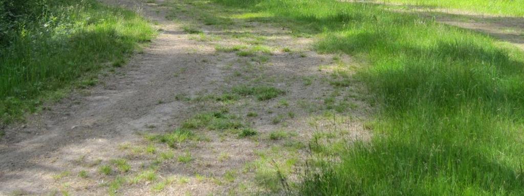 Ansomäki (42 ha) Viljakkalan keskustan kupeessa on suosittu ulkoilu- ja retkeilyalue.