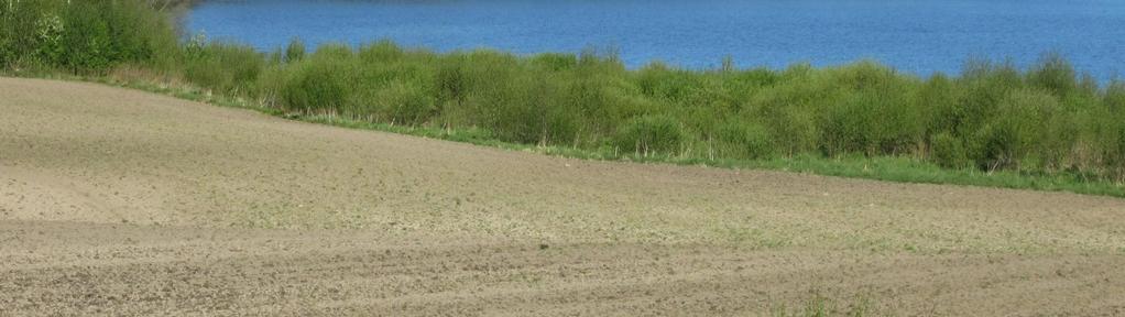 Mustavuori-Pirunvuori (59 ha) kallioalue sijaitsee Ylöjärven Lempiäniemessä.