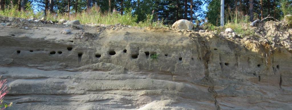 40 järven Vehkakoskella, Mäkelänjärven Karjulankoskella, Kuttulammen Porraskoskella, Lamminlammin Pitkäkoskella, Keihäsjärven koskella, Parkkuunkoskessa, Aurekoskessa, Petäjäkoskessa ja Heinäjoessa.