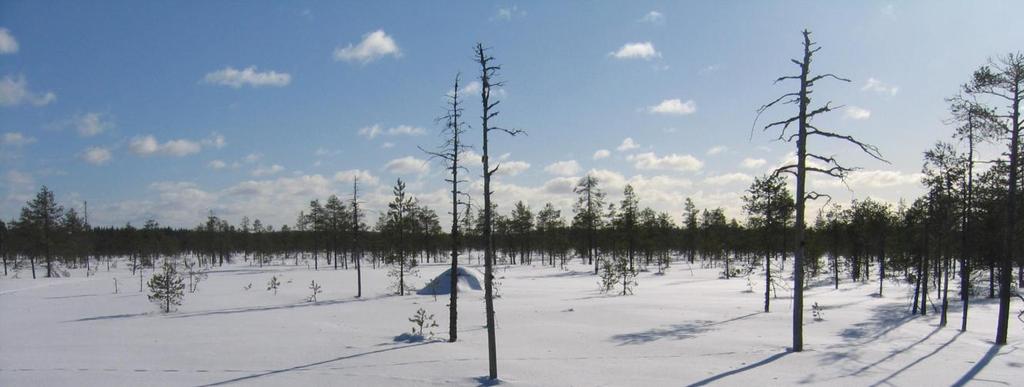 Seitsemisharju, perinnemaisemaa edustava Koveron kruununmetsätorppa, luonnontilaisia ja ennallistettuja suoalueita kuten Kivineva ja Jaulinneva sekä vanhoja metsiä, joista tunnetuin on Multiharjun