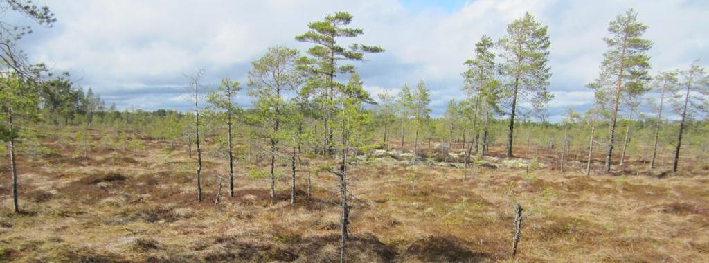 6 Kuvat. Keväinen Isoneva (vas.) ja Raitakulonneva.