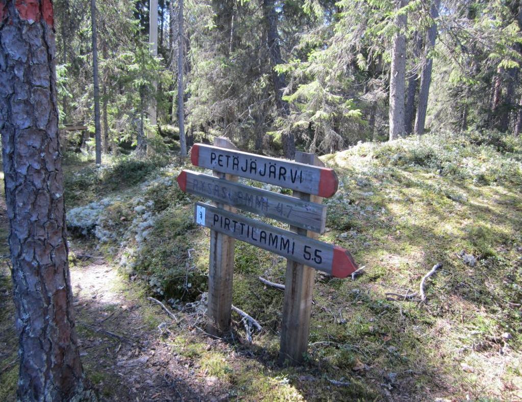 (Tetrao urogallus), palokärki (Dryocopus martius) ja pohjantikka (Picoides tridactylus).