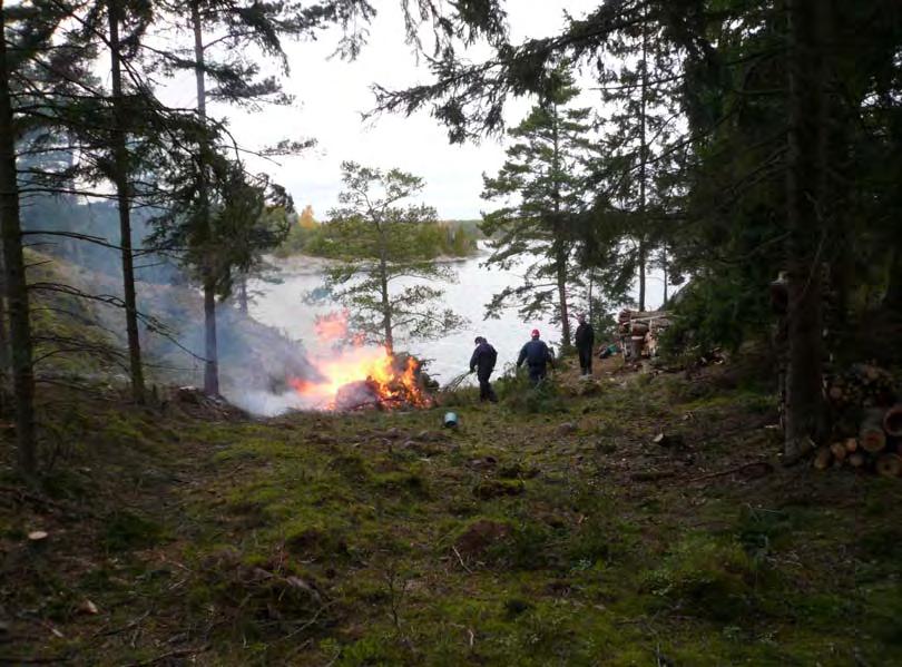 NORRVIK talkoot 28 29.4 2012 & 5 6.5 2012 Tähän rinteeseen pystytetään saunamökki. Rakennustarvikkeet kuljetetaan lauantaiaamuna 28.