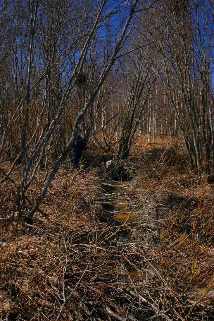 54 Kohteen kaltevuus huomioiden kosteikosta voisi olla hyvä rakentaa kuvan 11 mukainen kolmen altaan ketju, josta poistuvat vedet ohjataan mahdollisuuksien mukaan pintavaluntana Pohjajärveen.