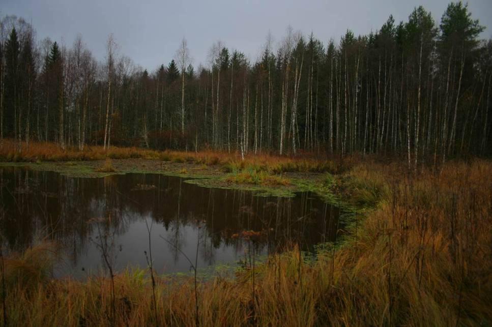 65 Taulukko 23.