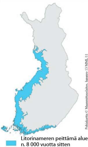 10 2 Sulfaattimaat 2.1 Sulfaattimaiden synty ja esiintyminen Happamat sulfaattimaat ovat syntyneet 8000 4000 vuotta sitten muinaisen Litorinameren pohjassa.