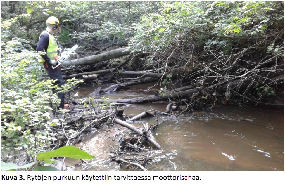 Roskien poisto 2016 Tavallisimpia roskia olivat muovipussit, lasipullot, tölkit, jätepuu ja metalliroska. Ongelmallisimpia jätteitä olivat injektioneulat, akut ja sekä muut auton osat.