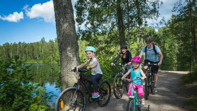 Puut ovat pakattuna kestokassiin, joten ne ovat helppo kantaa.