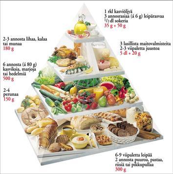 Noudata kohtuullisuutta. Älä ota liian paljon tai liian vähän yhtä ruokaainetta. Kaikki ruoka, mitä otetaan kohtuullisesti, on osa terveellistä ruokailua. Jopa makeiset voivat olla o.k. Ruokapyramidi auttaa terveelliseen ruokailuun.