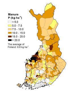 Lanta on arvokas raaka-aine Kotieläintuotannon lannan fosfori riittäisi kattamaan koko maan