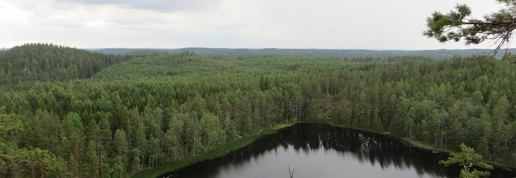 SAKARI SMEDS Pitkään puolueessa aktiivina ollut, kansanedustajana toiminut, sekä tämän jälkeen